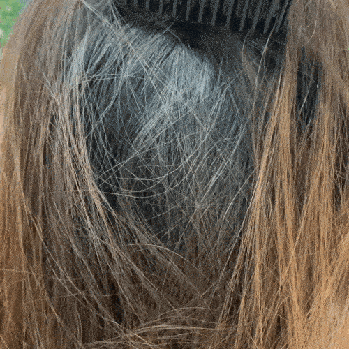 Perie Electrică Portabilă pentru Îndreptarea Părului – Design Elegant, Păr Neted Oriunde